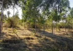 3 Bedrooms BUILT on 2 Acres in Lower Subukia at 2.5M