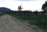 1⁄4 Acres for Sale in Nakuru Near HEAVENS GATE FOR SALE