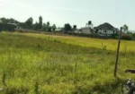 50By100 Plot in Lanet Kamfarm Only 500m From Tarmac at 2.5M