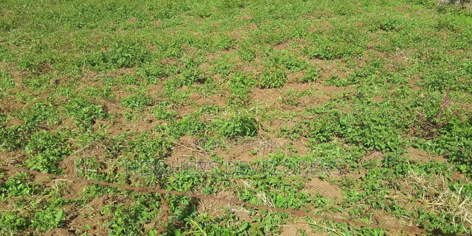 50By100 Plot in Lanet Kamfarm Only 500m From Tarmac at 2.5M