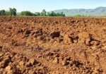 11 Acres at 1.3M Per Acre Has Title Deed in Lower Subukia Limuru