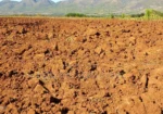 11 Acres at 1.3M Per Acre Has Title Deed in Lower Subukia Limuru