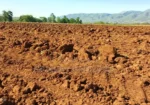 11 Acres at 1.3M Per Acre Has Title Deed in Lower Subukia Limuru