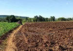 11 Acres at 1.3M Per Acre Has Title Deed in Lower Subukia Limuru