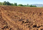 1,500 Acres for Sale in Narok – Clean Title Deed at KES800K