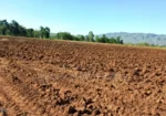 1,500 Acres for Sale in Narok – Clean Title Deed at KES800K
