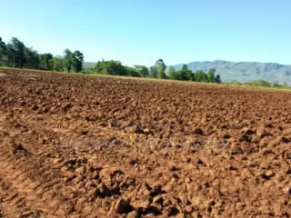 Narok.2