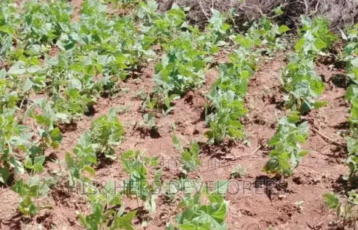 5 Acres for Sale in Subukia Polepole Area at 700k per Acre