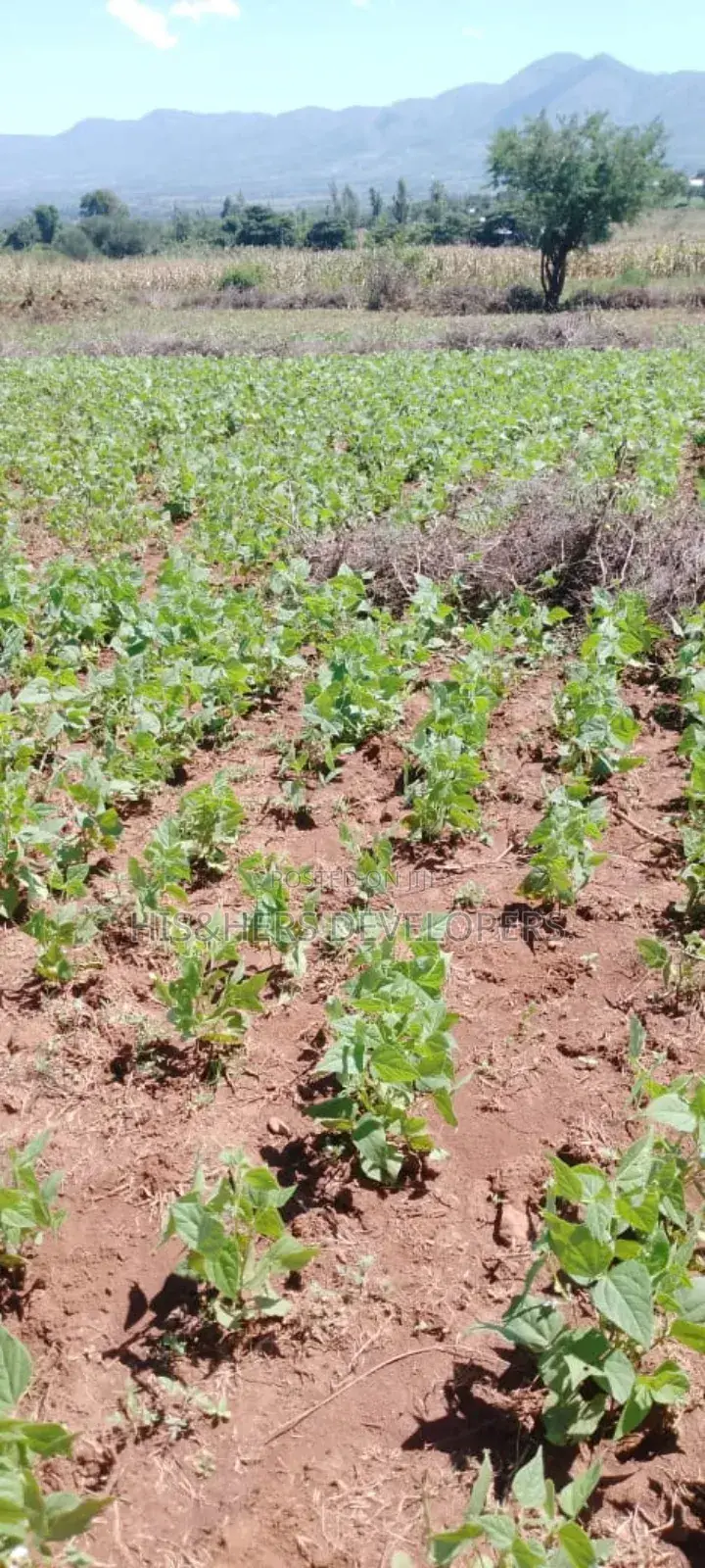 5 Acres for Sale in Subukia Polepole Area at 700k per Acre