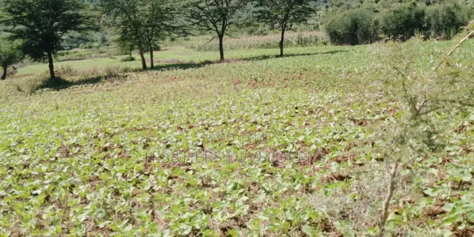 5 Acres for Sale in Subukia Polepole Area at 700k per Acre