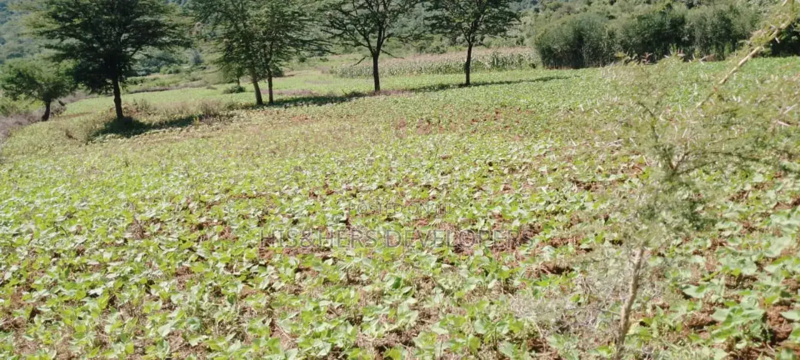 5 Acres for Sale in Subukia Polepole Area at 700k per Acre