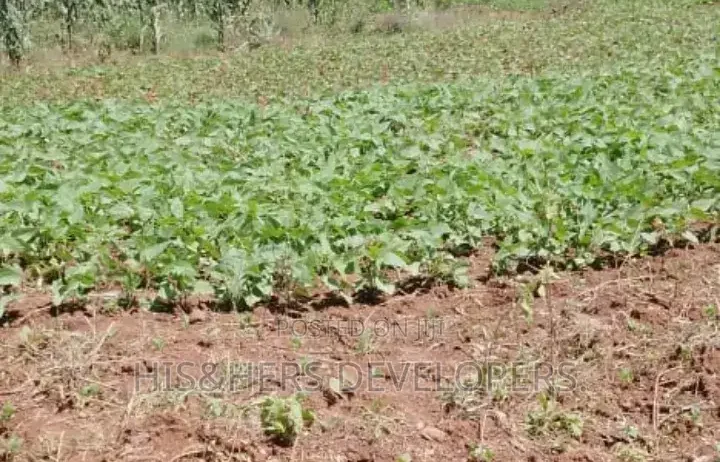 5 Acres for Sale in Subukia Polepole Area at 700k per Acre