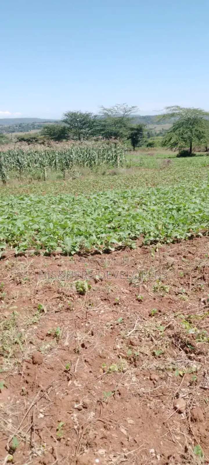 5 Acres for Sale in Subukia Polepole Area at 700k per Acre