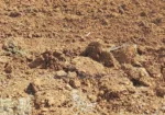 6 Acres in Lower Solai With Title Deed at Per Acre